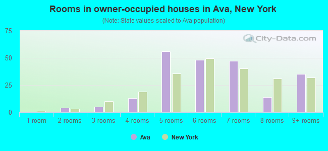 Rooms in owner-occupied houses in Ava, New York