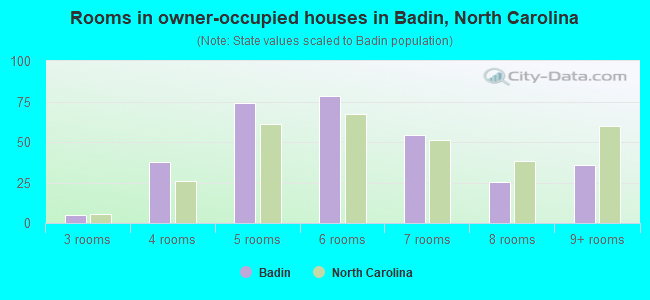 Rooms in owner-occupied houses in Badin, North Carolina