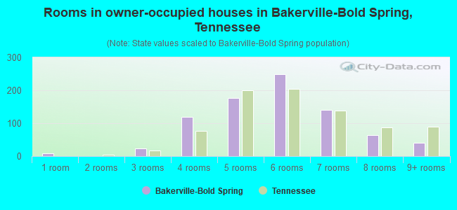 Rooms in owner-occupied houses in Bakerville-Bold Spring, Tennessee