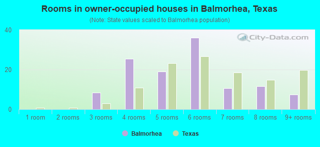 Rooms in owner-occupied houses in Balmorhea, Texas