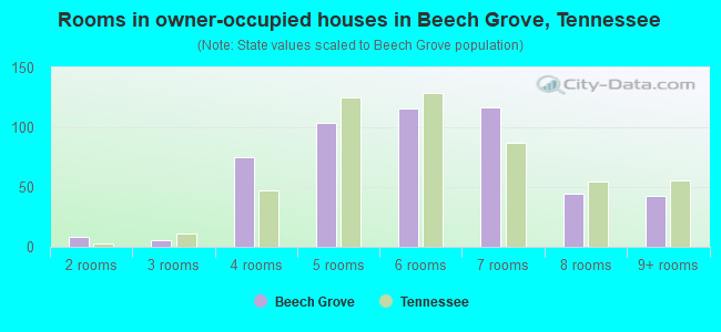 Rooms in owner-occupied houses in Beech Grove, Tennessee
