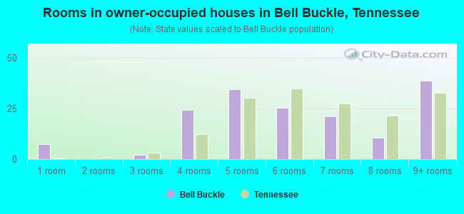 Rooms in owner-occupied houses in Bell Buckle, Tennessee