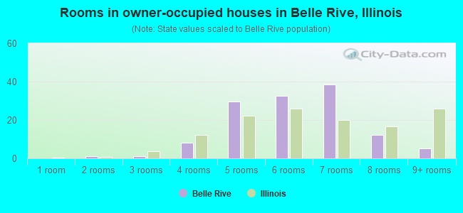 Rooms in owner-occupied houses in Belle Rive, Illinois