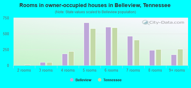 Rooms in owner-occupied houses in Belleview, Tennessee