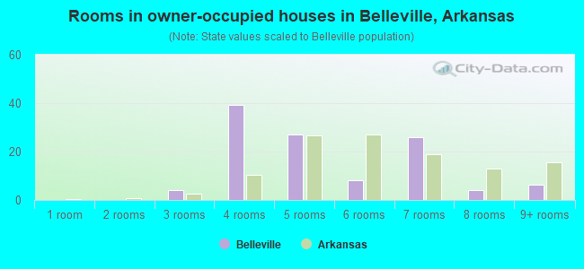 Rooms in owner-occupied houses in Belleville, Arkansas