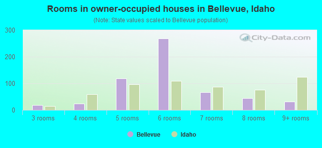 Rooms in owner-occupied houses in Bellevue, Idaho