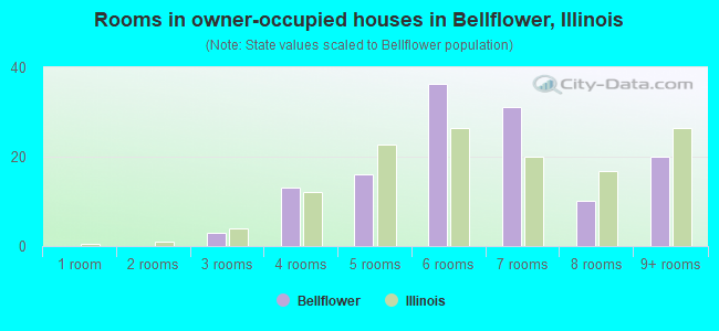 Rooms in owner-occupied houses in Bellflower, Illinois