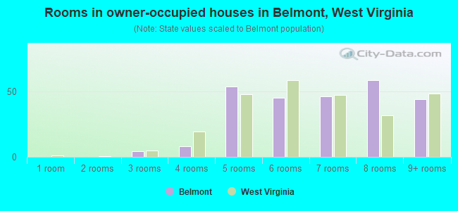 Rooms in owner-occupied houses in Belmont, West Virginia