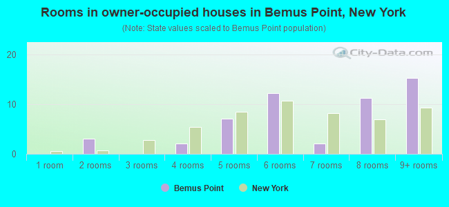 Rooms in owner-occupied houses in Bemus Point, New York