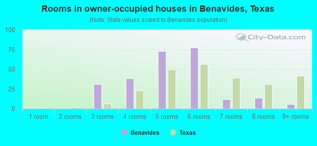 Rooms in owner-occupied houses in Benavides, Texas