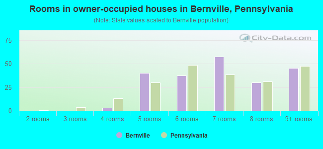 Rooms in owner-occupied houses in Bernville, Pennsylvania