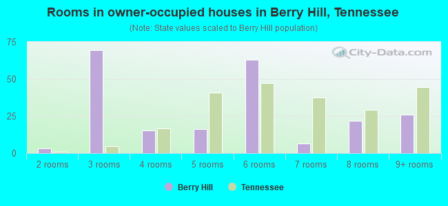 Rooms in owner-occupied houses in Berry Hill, Tennessee