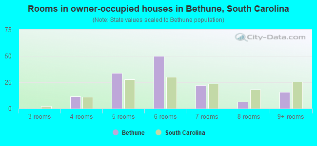 Rooms in owner-occupied houses in Bethune, South Carolina