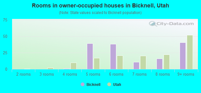 Rooms in owner-occupied houses in Bicknell, Utah