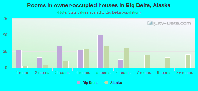 Rooms in owner-occupied houses in Big Delta, Alaska