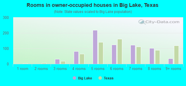 Rooms in owner-occupied houses in Big Lake, Texas