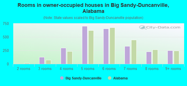 Rooms in owner-occupied houses in Big Sandy-Duncanville, Alabama