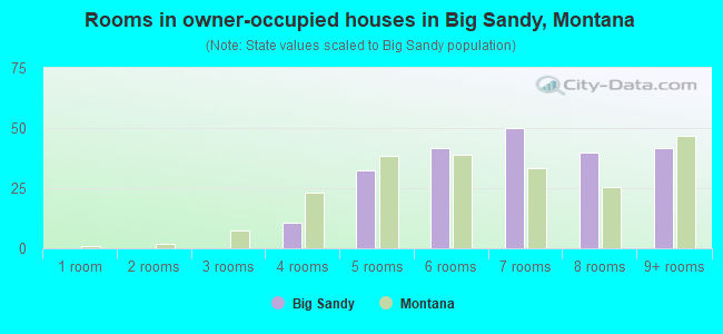 Rooms in owner-occupied houses in Big Sandy, Montana