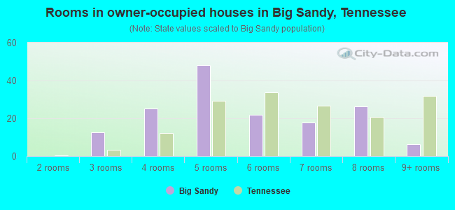 Rooms in owner-occupied houses in Big Sandy, Tennessee