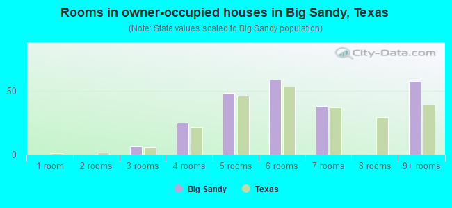 Rooms in owner-occupied houses in Big Sandy, Texas