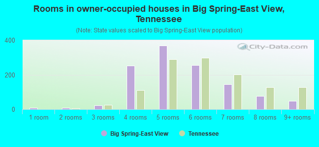 Rooms in owner-occupied houses in Big Spring-East View, Tennessee