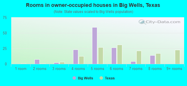 Rooms in owner-occupied houses in Big Wells, Texas