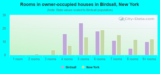 Rooms in owner-occupied houses in Birdsall, New York