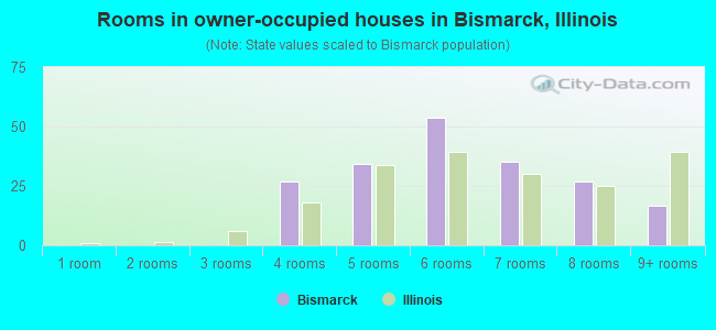 Rooms in owner-occupied houses in Bismarck, Illinois