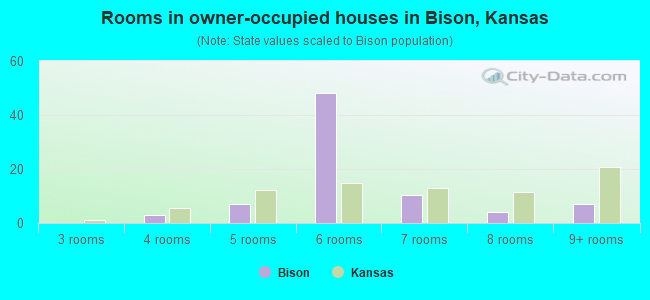 Rooms in owner-occupied houses in Bison, Kansas
