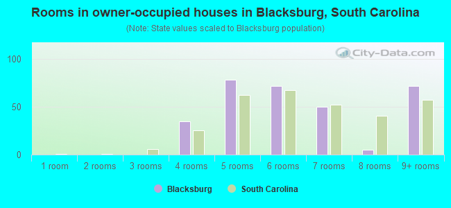 Rooms in owner-occupied houses in Blacksburg, South Carolina