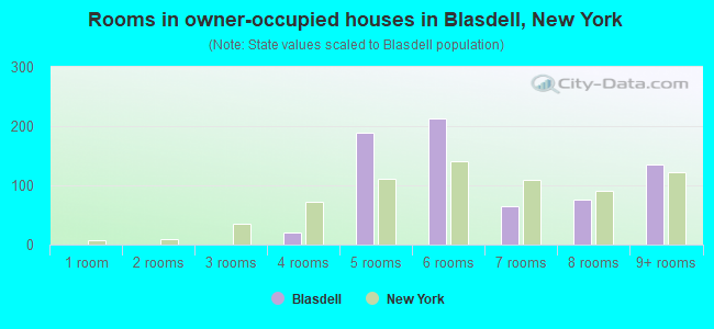 Rooms in owner-occupied houses in Blasdell, New York