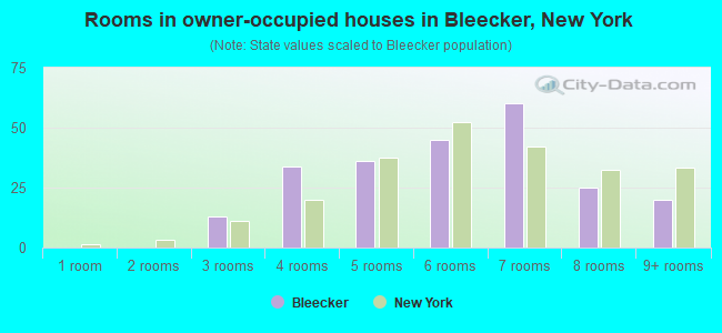 Rooms in owner-occupied houses in Bleecker, New York