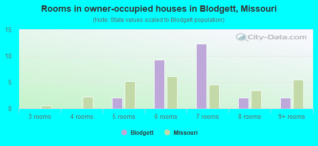 Rooms in owner-occupied houses in Blodgett, Missouri