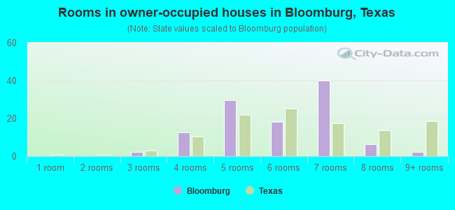 Rooms in owner-occupied houses in Bloomburg, Texas