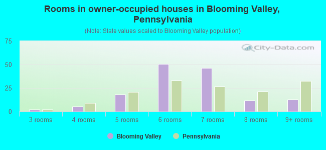 Rooms in owner-occupied houses in Blooming Valley, Pennsylvania