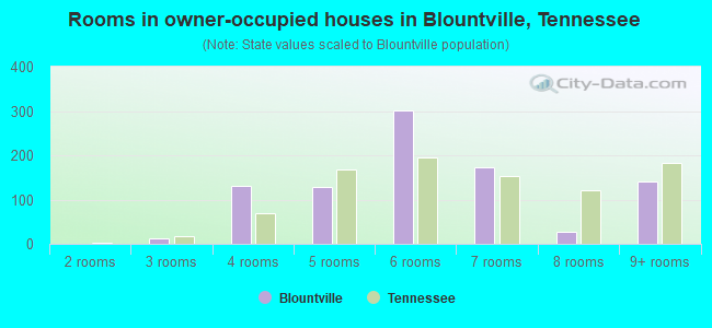 Rooms in owner-occupied houses in Blountville, Tennessee