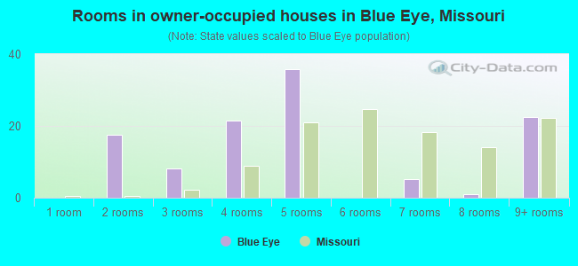 Rooms in owner-occupied houses in Blue Eye, Missouri