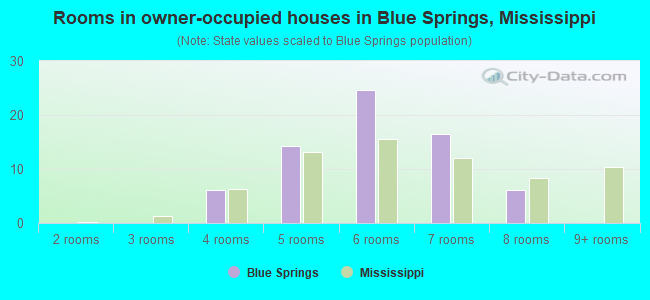 Rooms in owner-occupied houses in Blue Springs, Mississippi