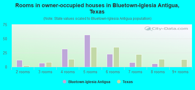 Rooms in owner-occupied houses in Bluetown-Iglesia Antigua, Texas