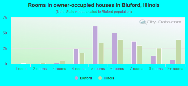 Rooms in owner-occupied houses in Bluford, Illinois