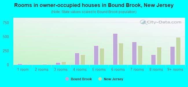 Rooms in owner-occupied houses in Bound Brook, New Jersey