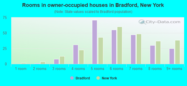 Rooms in owner-occupied houses in Bradford, New York