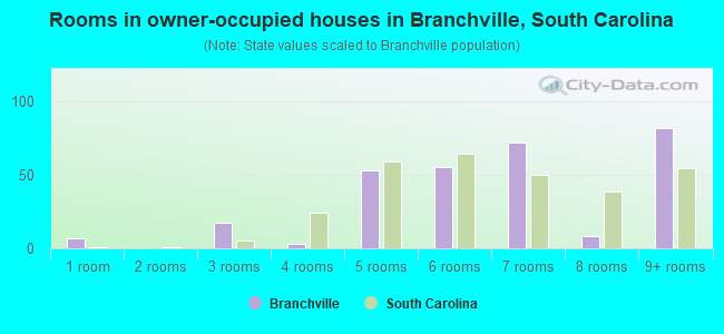 Rooms in owner-occupied houses in Branchville, South Carolina