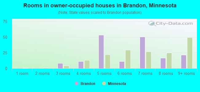 Rooms in owner-occupied houses in Brandon, Minnesota