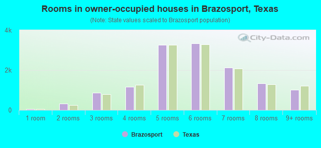Rooms in owner-occupied houses in Brazosport, Texas