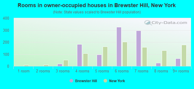 Rooms in owner-occupied houses in Brewster Hill, New York