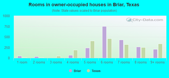 Rooms in owner-occupied houses in Briar, Texas