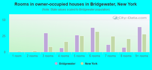 Rooms in owner-occupied houses in Bridgewater, New York