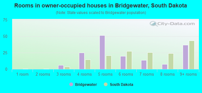 Rooms in owner-occupied houses in Bridgewater, South Dakota