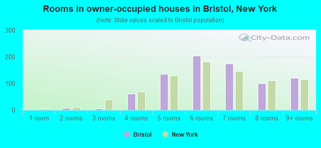 Rooms in owner-occupied houses in Bristol, New York